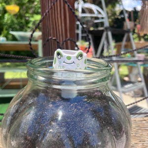 May include: A small, white ceramic frog planter with green polka dots and a smiling face sits inside a clear glass jar filled with soil. The frog planter is a whimsical decorative item, perfect for small plants or succulents.
