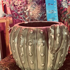 Pu&ograve; includere: Un vaso in ceramica a forma di cactus di colore verde tenue. Il vaso presenta una superficie strutturata con dettagli arrotondati in rilievo e un'ampia apertura. Il design imita la forma di un cactus, adatto per piante grasse.