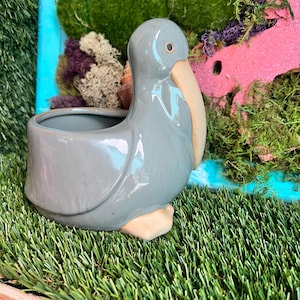 pelican planter with drainage