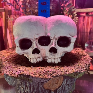May include: A white, conjoined skull sculpture with black eye sockets and nasal cavities. The skull sits atop a moss-covered, tree-stump-shaped base. A blue ruler is placed behind the skull, indicating its height.