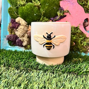 May include: A cream-colored ceramic planter with a raised bee design. The bee has tan wings and a black and yellow body. The planter is cylindrical with a small base and is suitable for small plants or succulents.