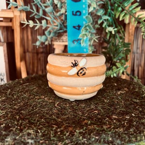May include: A small, ceramic, bee-themed pot with a beige and yellow striped design. The pot features a painted bee with black and white details. The pot is approximately 2 inches tall.