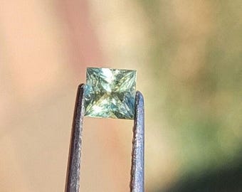 Faceted Montana Sapphire -  Patel Green Montana Sapphire - Montana Sapphire - Princess cut Sapphire - .63Ct Sapphire - 4.25 mm - C7-2