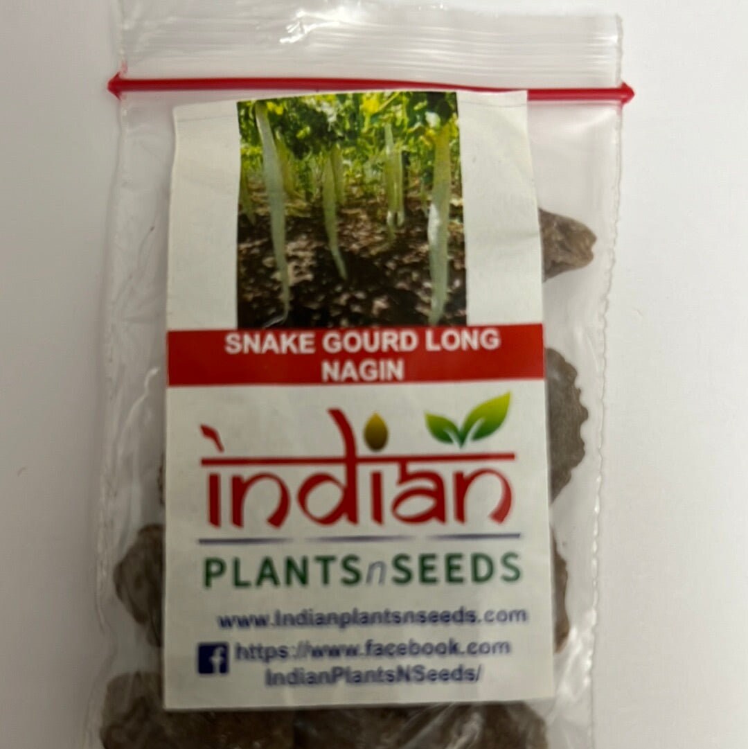 IPS047 Snake Gourd Seeds 10 Seeds Etsy
