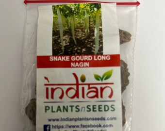 IPS047 - Snake Gourd Seeds - 10 seeds