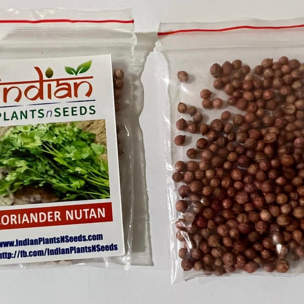 IPS070- Coriander Nutan - Hybrid Seeds