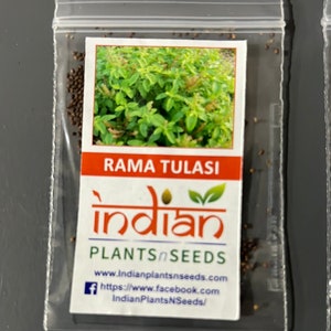 IPS079- Rama Tulasi- 200 seeds