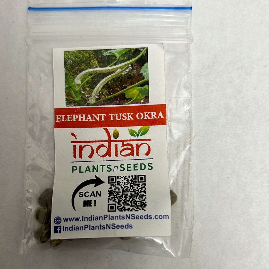 Elephant Tusk Okra seeds (Lady finger) main image 1