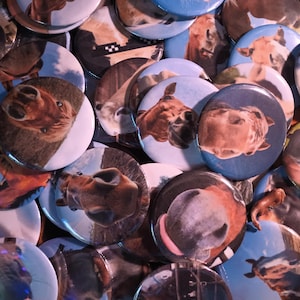 May include: A pile of circular badges displaying close-up images of camel faces. The badges have a shiny surface and are in shades of brown, beige, and blue. The badges are scattered, creating a textured, layered effect.