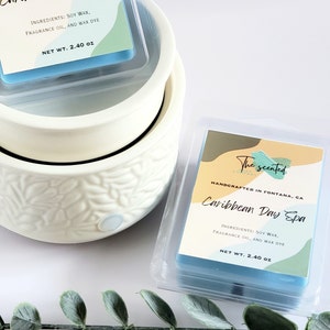 Wax Melts Soy Wax Melts Scented CARIBBEAN DAY SPA Wax Melts Candle Wax Melts 6 Cavity Clamshell Wax Melts