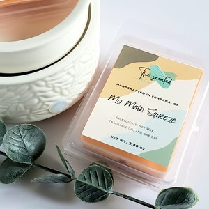 Wax Melts Soy Wax Melts Scented MY MAIN SQUEEZE Wax Melts Candle Wax Melts for Warmer Wax Tarts 6 Cavity Clamshell Wax Melts