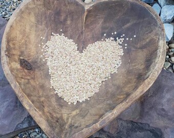 Hollow Crown Parsnip Seeds, Sweet Nutty Flavor, Heirloom Variety