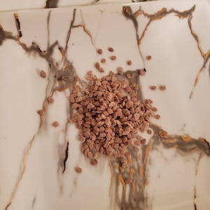 May include: A pile of small, light brown seeds on a white rectangular plate with a marble design. The plate has gray and gold veining. The seeds are clustered together, taking up a portion of the plate's surface.