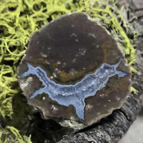 Oregon Thunderegg Polished Half