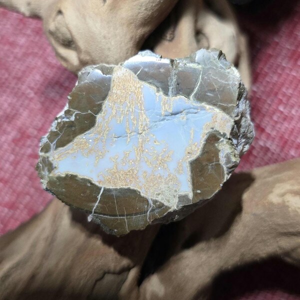 Opal Thunderegg Half Cut and Polished-Rare