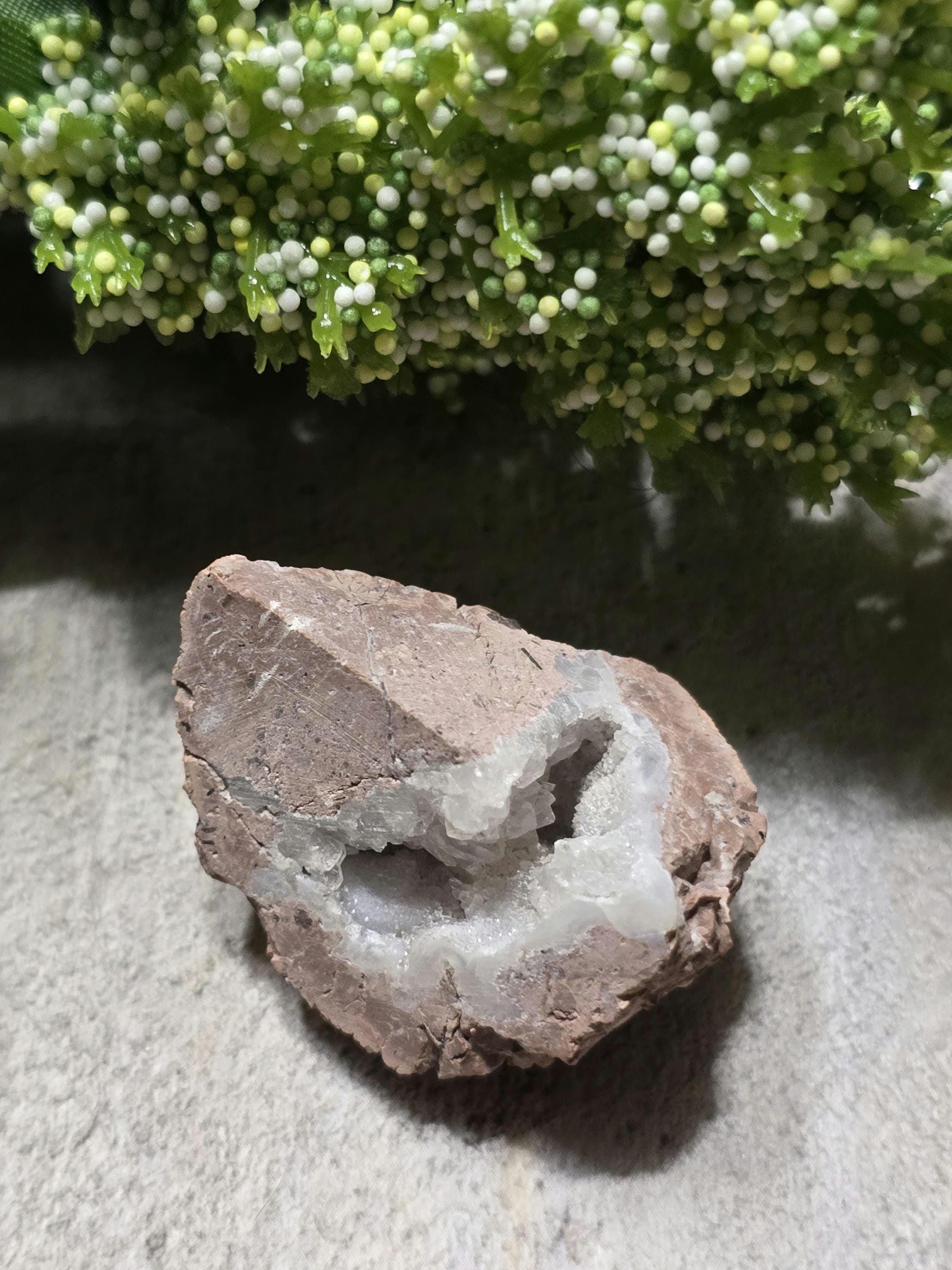 Geode Rocks Raw Sonora Geode Raw Cut Half - Etsy