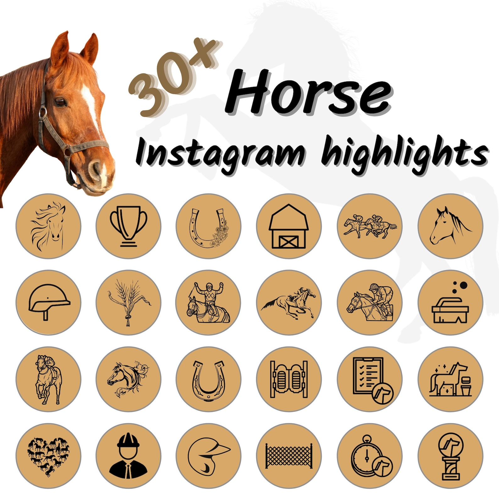 Horse Instagram Story Highlights Horse Icons Highlight Etsy horse-instagram-story-highlights-horse-icons-highlight-etsy