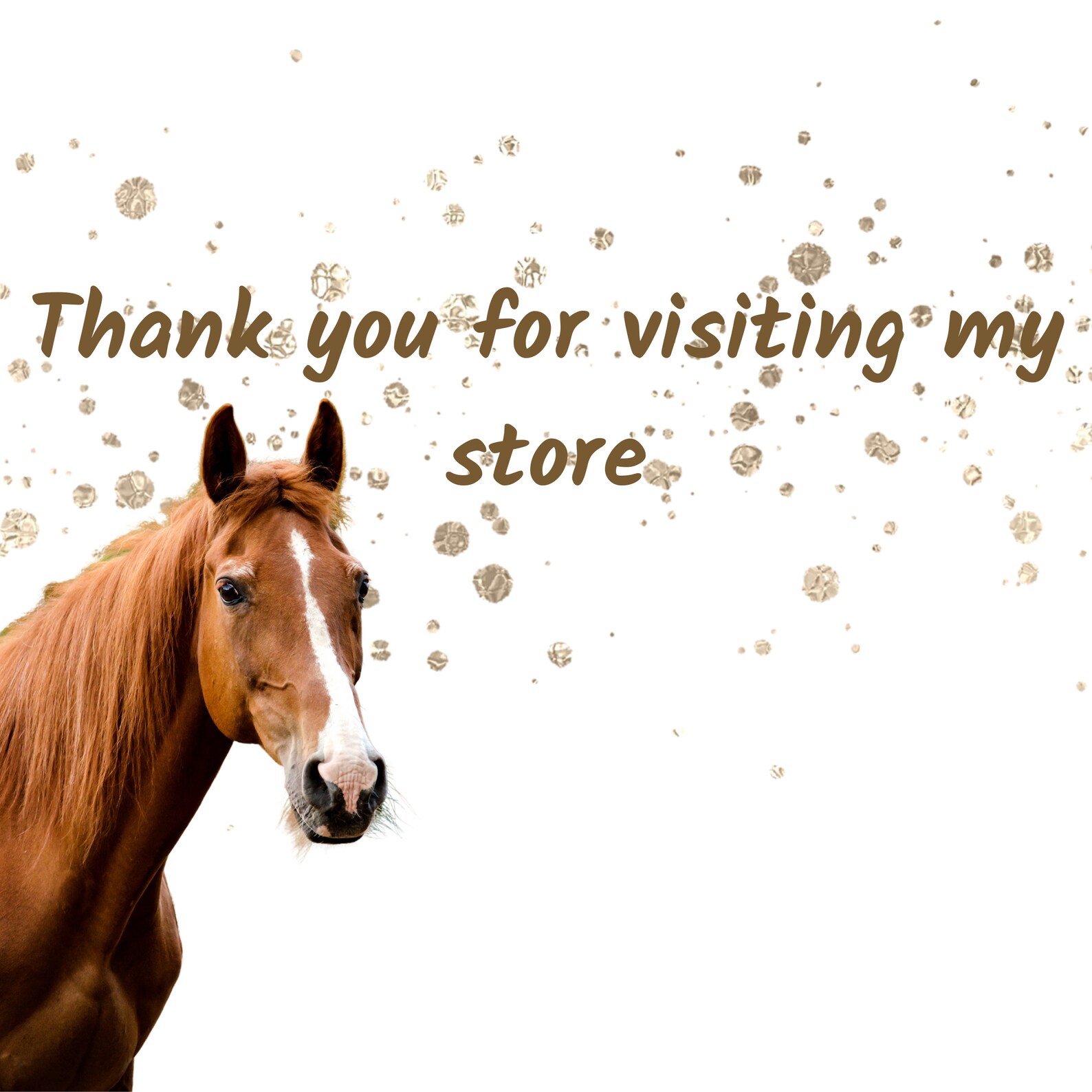 Horse Instagram Story Highlights Horse Icons Highlight Etsy