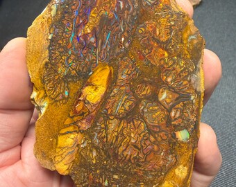 Koroit-Boulder-Opalplatte der Güteklasse AA zum Cabochon-Schleifen oder für Schmuck, mehrfarbiges Funkeln! 172 Gramm (860 Karat)