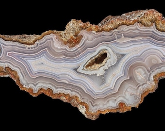 Large Laguna Agate Half Nodule from Mexico: Pastel Colors and Fine Details