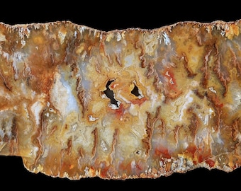 Graveyard Point Plume Agate Slab, Polished One Side Specimen (8" x 4")