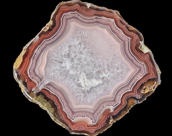 Laguna Agate Half Nodule from Mexico Pink Red Tight Banding