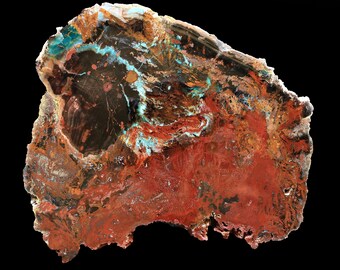 Ejemplar de madera pulida Colla multicolor procedente de Zile, Turquía
