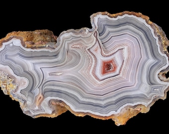 Laguna Agate Nodule Specimen: Polished Flow Channels, Mexican Agate Stone