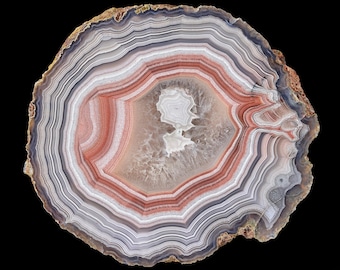 Huge Laguna Agate Half Nodule from Mexico: Tight Banding, Parallax and Colors!