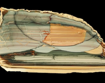 Blue Mountain Picture Jasper Polished Specimen