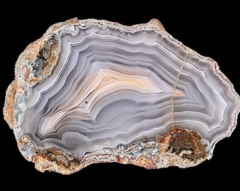 Tight Banding Laguna Agate Half Nodule from Mexico