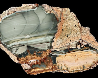 Blue Mountain Picture Jasper Polished Specimen