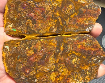Koroit Boulder Opal-Plattenpaar der Güteklasse AA zum Cabochon-Schliff oder für Schmuck, mehrfarbiges Funkeln! 348 Gramm (1740 Karat)