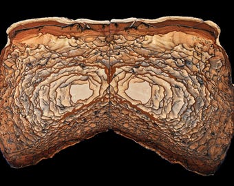 Par de mariposas de calidad del Museo Deschutes Picture Jasper: Antiguo stock pulido