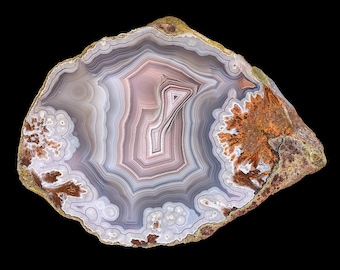 Laguna Agate Half Nodule: Pink and Blue Tight Banding, Flow Channel (Mexico)