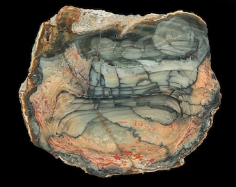 Ejemplar pulido de jaspe pictórico Blue Mountain multicolor XXL de grado AAA