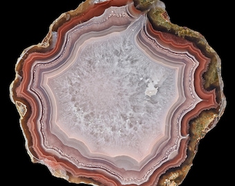 Laguna Agate Half Nodule from Mexico Pink Red Tight Banding