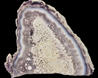 Luna Agate Large Polished Specimen Orbicular Purple Agate