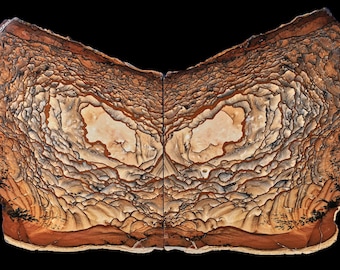 Deschutes Picture Jasper Museum Quality Butterfly Pair Specimens: Polished Old Stock