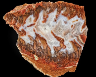 Bird of Paradise Plume Agate Specimen