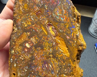 Koroit-Boulder-Opalplatte der Güteklasse AA zum Cabochon-Schliff oder für Schmuck, mehrfarbiges Funkeln! 270 Gramm (1350 Karat)