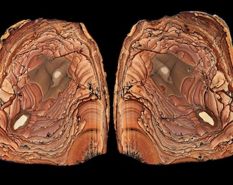 Deschutes Picture Jasper Museum Quality Butterfly Pair Specimens: Polished Old Stock
