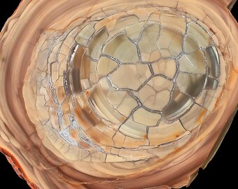 Royal Imperial Jasper Brecciate Nodule Polished VERY UNIQUE