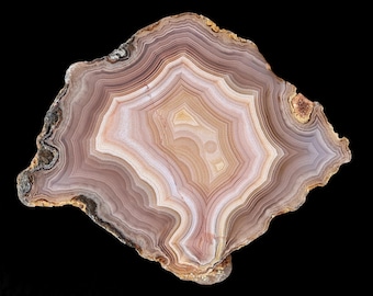 Pastel Laguna Agate Half Nodule from Mexico Tight Banding and Details