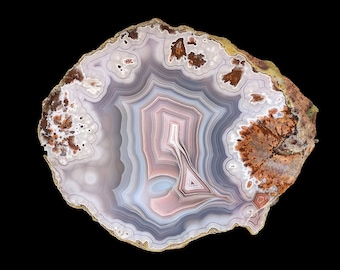 Laguna Agate Half Nodule: Pink and Blue Tight Banding, Flow Channel (Mexico)