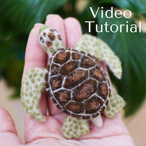 May include: A small, hand-felted sea turtle with a brown and white shell and green flippers. The turtle is held in a person's hand.