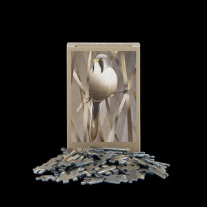 Könnte beinhalten: Ein 99-teiliges Puzzle mit einer Schachtel, die eine Vogelillustration zeigt. Der Vogel sitzt auf einem Ast mit beigem und braunem Hintergrund. Die Puzzleteile sind vor der Schachtel verstreut, auf schwarzem Hintergrund.