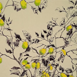 May include: A black and white line drawing of a lemon tree with yellow lemons on the branches.