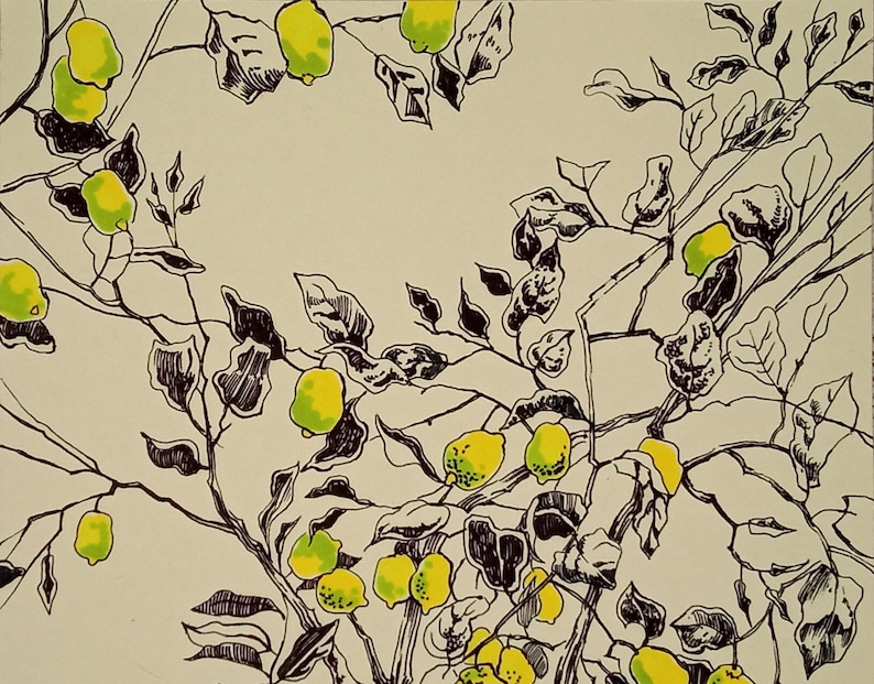 May include: A black and white line drawing of a lemon tree with yellow lemons on the branches.