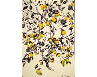 Lemon Tree Sketch Art Original Pluma y Tinta Dibujo Paisaje Bosquejo Árbol Frutal Blanco y Negro 5.5 por 8 pulgadas por DariaRiabininaSpain